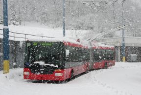 Mimoriadne: Prerušená premávka liniek 32 a 33