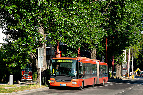 Úprava premávky liniek 31 a 39 (od 26.10.2020)