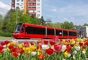 Vybrali ste najkrajšiu fotku roka 2021!