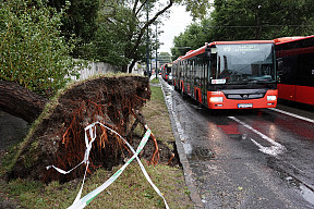 Mimoriadne: Obmedzená premávka vybraných liniek MHD