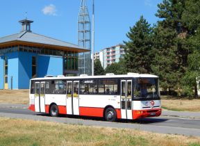 Letné autobusové novinky