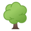 🌳