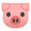 🐷