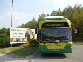 Mimoriadne: Dočasné zrušenie zachádzky do ZOO